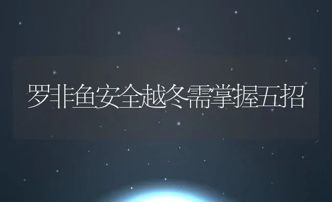 罗非鱼安全越冬需掌握五招 | 动物养殖饲料