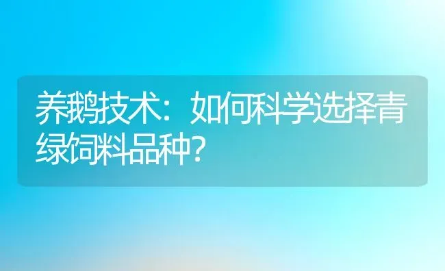 养鹅技术：如何科学选择青绿饲料品种？ | 动物养殖百科