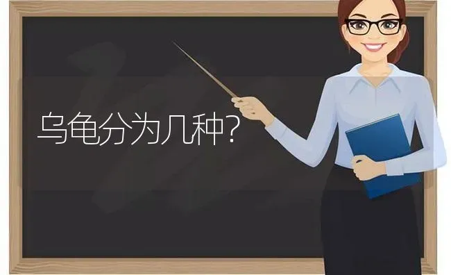 我家的狗为什么频繁出现血尿？ | 动物养殖问答