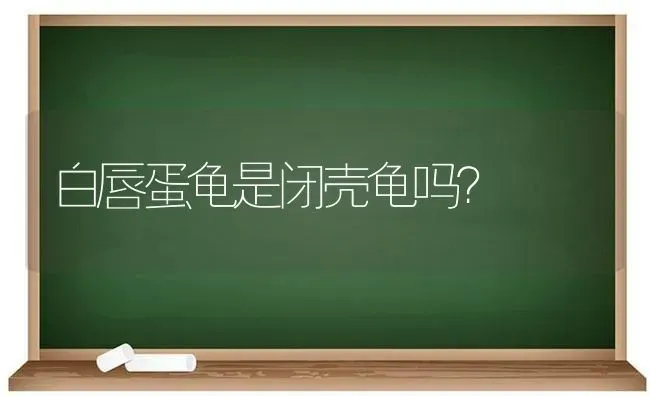 狐狸有几种颜色？ | 动物养殖问答