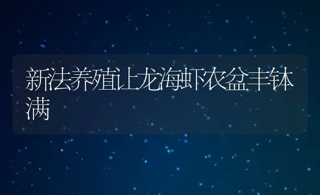 新法养殖让龙海虾农盆丰钵满 | 动物养殖饲料