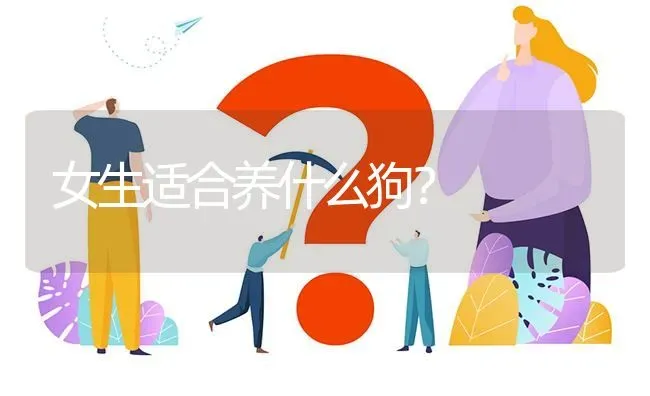 女生适合养什么狗？ | 动物养殖问答