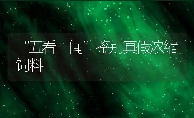 肉羊胚胎冷冻技术首次在阜新得到应用 | 动物养殖饲料