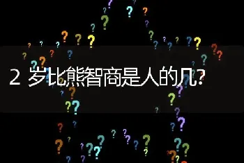 2岁比熊智商是人的几？