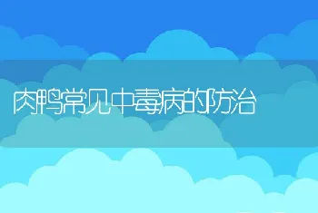 水产养殖贴士：当心黄鳝细菌性疾病的发生