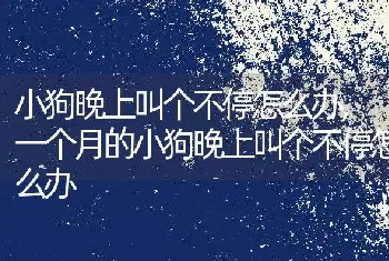 小狗晚上叫个不停怎么办，一个月的小狗晚上叫个不停怎么办