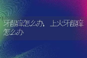 牙龈痒怎么办，上火牙龈痒怎么办