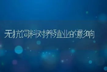 无抗饲料对养殖业的影响