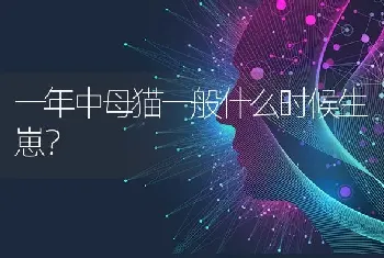 母狗来月经的时候，要穿小内裤，但是狗狗小便怎么处理啊？