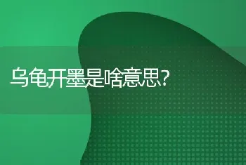 乌龟开墨是啥意思？