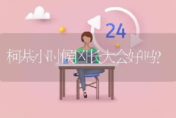 柯基小时候凶长大会好吗？