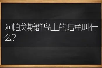 阿帕戈斯群岛上的陆龟叫什么？