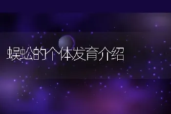 蜈蚣的个体发育介绍