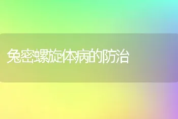 兔密螺旋体病的防治