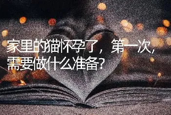 家里的猫怀孕了，第一次，需要做什么准备？