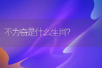 不为奇是什么生肖？