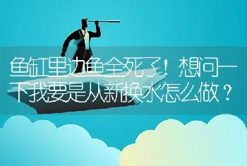 鱼缸里边鱼全死了！想问一下我要是从新换水怎么做？