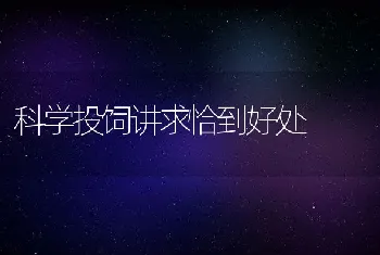 科学投饲讲求恰到好处