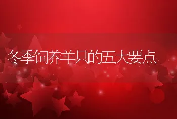 冬季饲养羊只的五大要点