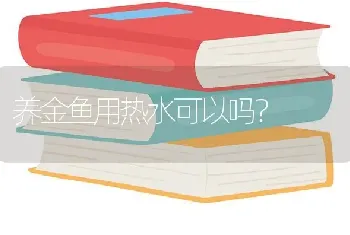 孔雀鱼下崽后应该怎样喂食？小鱼应该怎样喂食？