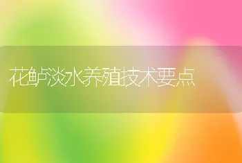 花鲈淡水养殖技术要点