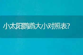 小太阳鹦鹉大小对照表？