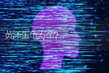 黄泽蛋龟寿命？