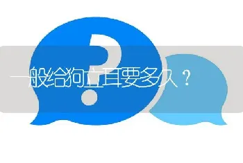 一般给狗立耳要多久？