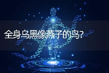 几个月的比熊最合适美容，才可以美容的漂漂亮亮的那种?比熊需要剃胎毛吗?求专业人士回答，谢谢？