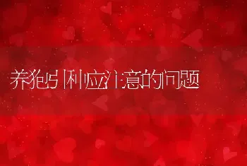 养狍引种应注意的问题