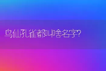 鸟仙孔雀都叫啥名字？