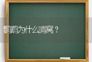 背甲龟是保护动物吗？