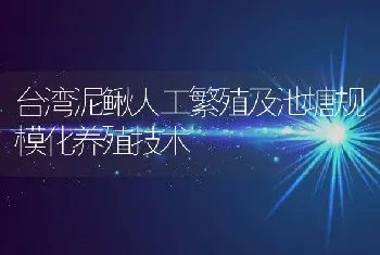 台湾泥鳅人工繁殖及池塘规模化养殖技术