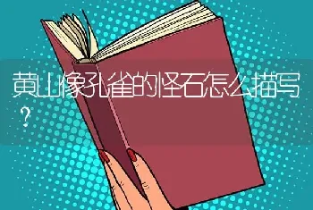 黄山像孔雀的怪石怎么描写？