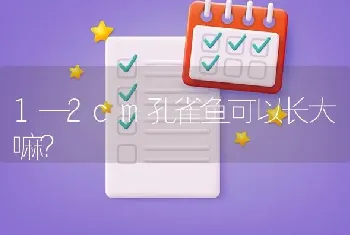 1—2cm孔雀鱼可以长大嘛？