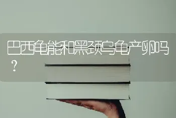 巴西龟能和黑颈乌龟产卵吗？