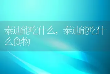 泰迪能吃什么，泰迪能吃什么食物