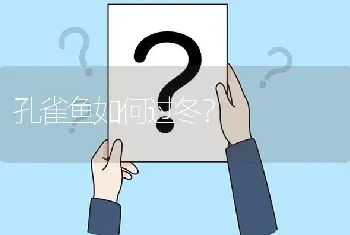 孔雀鱼如何过冬？