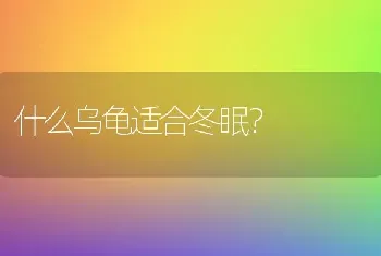 什么乌龟适合冬眠？