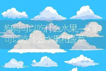 狗狗可以吃什么水果，狗狗可以吃什么水果和蔬菜