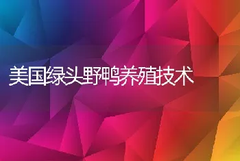 怎样科学利用闲塘养黄鳝