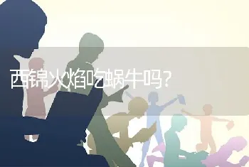 西锦火焰吃蜗牛吗？