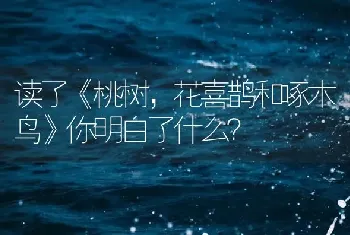 读了《桃树，花喜鹊和啄木鸟》你明白了什么？