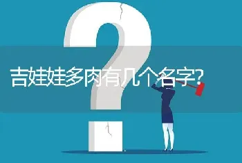 吉娃娃多肉有几个名字？