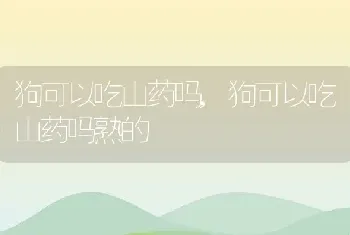 狗可以吃山药吗，狗可以吃山药吗熟的