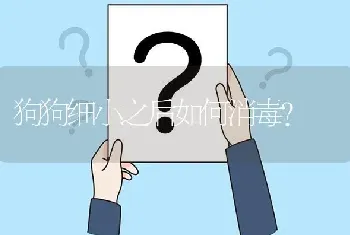 狗狗细小之后如何消毒？