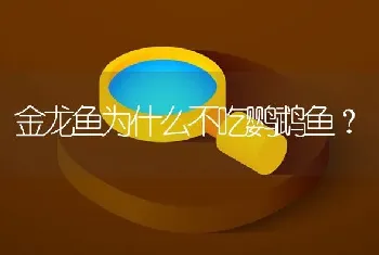 金龙鱼为什么不吃鹦鹉鱼？