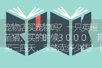 宠物店买宠物吗?一只英短蓝猫，买的时候3000,刚买三四天，卖能卖多少钱?七个多月？