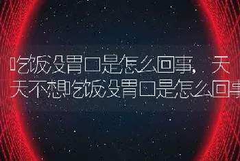 吃饭没胃口是怎么回事，天天不想吃饭没胃口是怎么回事