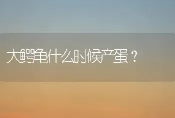 暹罗猫一个月能看出颜色吗？